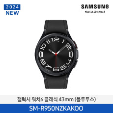 갤럭시 워치6 클래식 (블루투스, 43mm) SM-R950NZKAKOO