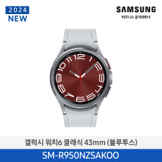 갤럭시 워치6 클래식 (블루투스, 43mm) SM-R950NZSAKOO